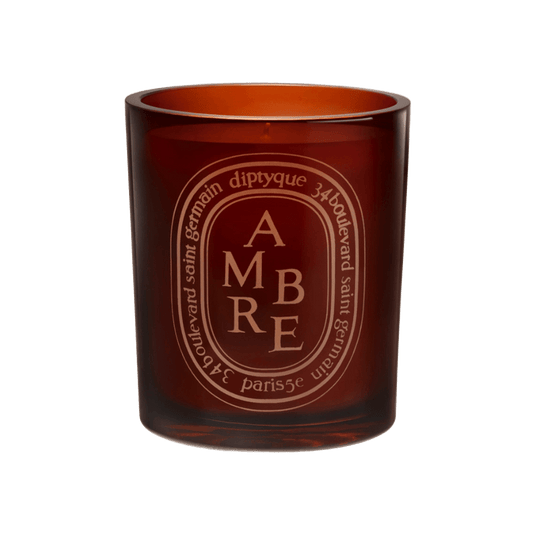 Diptyque Ambre Medium Candle